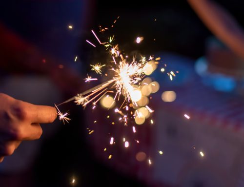 4 Pet Safety Considerations for an Un-fur-gettable July Fourth