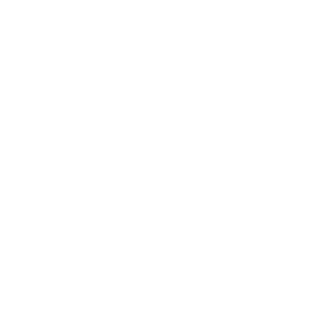 What’s Included in Our Senior Dog and Cat Wellness Program